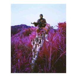 Richard Mosse Pography Highland Poster Painting Print Home Decor Framed Or Unframed Popaper Material3069