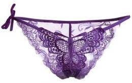 Panties Women's Women Sexy Underpant 8 Colours Butterfly See Through Lace Underwear Breathable Womens Panties ldd240311