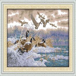 Flying birds in snow scenery Handmade Cross Stitch Craft Tools Embroidery Needlework sets counted print on canvas DMC 14CT 11CT Ho249n