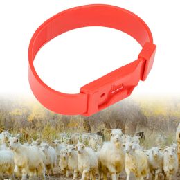 Tags 10Pcs Goat Leg Ring Sheep Identification Bands Livestock Marking Ring Farming Equipment 36cm