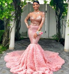 Sexy Illusion Pink Mermaid Prom Party Dresses Long Sleeve Pageant Wear Black Girls Evening Gowns Flowers Engagement Dress Plus Siz6268782