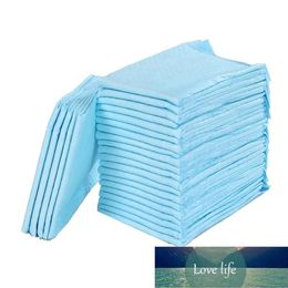 100Pcs Super Absorbent Pet Diaper Dog Training Pee Pads Disposable Healthy Nappy Mat For Cats Apparel Factory expert design 250G