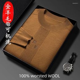 Men's Sweaters Washable Worsted Wool Mens Thin Sweater Brown Clothes Men Top Fashion Turtleneck Winter Luxury Vintage Striped Black