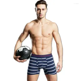 Underpants Men Cotton Boxers Shorts Sexy Striped Underwear Max Size Super Elastic Lengthen Sports Running Fitness