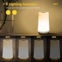 Lamps Shades Wood Grain 13 Color Changing Night Light Remote Touch USB Rechargeable RGB Dimmable Portable Table Bedside Ambience Light L240311