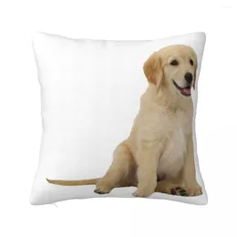 Pillow Cute Golden Retriever Throw Cases Decorative Pillows Aesthetic Embroidered Cover