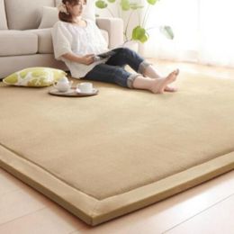 Large Chenille Carpet Coral Fleece Mat 120 200 2CM Tatami Table Manually Bedroom Carpet Rectangle Living Room Rug 2CM Thick267b