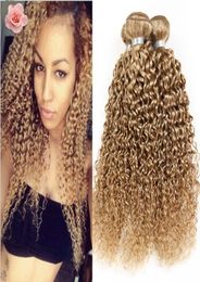 Honey Blonde 27 Kinky Curly Hair Bundles Pure Colour Brazilian 9A Virgin Hair Extension 3Pcs Blonde Deep Curly Hair Weaves 2488665