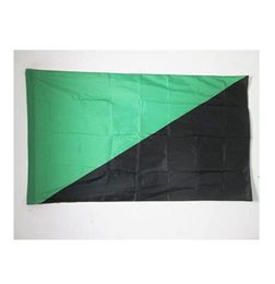 Anarchoprimitivism Flag Green Black 150x90cm 3x5ft Printing Polyester Club Team Sports Indoor With 2 Brass Grommets1792165