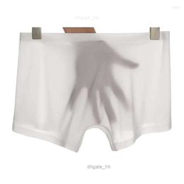 Underpants Sexy Mens Boxer Shorts Transparent Panties See Through Underwear Sheer Briefs Male Erotic Lingerie Gay Ultra-thin