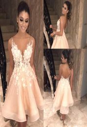 Sexy V Neck Lace Short Homecoming Dresses 2020 Tulle High Low Applique ALine Backless Knee Length Short Prom Dresses Vestidos De 1773172