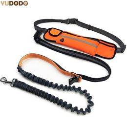 Hand Elastic Dog Leash Adjustable Padded Waist Reflective Running Jogging Walking Pet Lead Belt With Pouch Bags2462