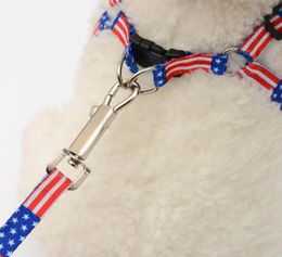 10120cm Dog Harness Leashes Nylon Printed Adjustable Pet Dog Collar Puppy Cat Animals Accessories Pet Necklace Rope Tie Collar 43884977