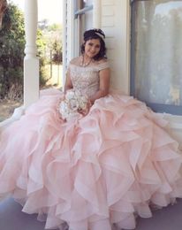 Gorgeous Ball Gown Quinceanera Dresses Beading Sweet 16 Dress Vestidos De 15 Anos Custom Made Masquerade xv Dress8511564