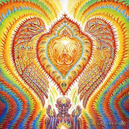 poster 32x24 17x13 Trippy Alex Grey Wall Poster Print Home Decor Wall Stickers poster Decal--052204E