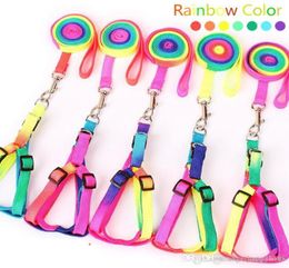 Adjustable Small Pet Dog Leash Harness Nylon Colourful Puppy Lead Leashes Walk Out Hand Strap Vest Collar For Dog Cat Rabbit ST2604891550