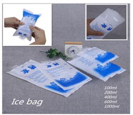 Food Freshkeeping Ice Bag Reusable zer PE Ice Pack Gel food refrigerated Bags express plastic cooler bags custom logo fa1888282