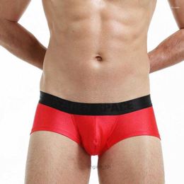 Underpants Men Underwear Boxer Hombre Sexy Mens Boxers Briefs Panties Boxershorts Homem Male Shorts