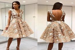 2020 New Plus Size Champagne Short Mini Homecoming Dresses Sheer Neck Lace Appliques Sleeveless Backless Puffy Cocktail Prom Party7346991