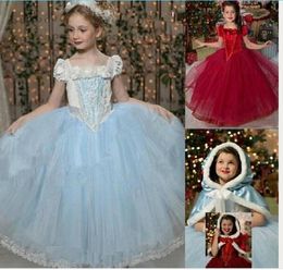 Baby Girl Tutu Lace Ruffled Frozen Dress With Hoodie Cape Poncho Fleece and Lace Princess Puff Shoulder Christmas Party Dresses Ba5245896