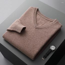 Men's Sweaters Autumn And Winter Cashmere Fir Pure Wool Knitted V-neck Loose Fashion Korean Version Of Solid Colour Top.