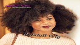 Grade 8A Afro Kinky Curly Full Lace Wigs Lace Front Wigs Baby Hair 100 Brazilian Unprocessed Virgin Human Hair Wig For Black Wome6490182