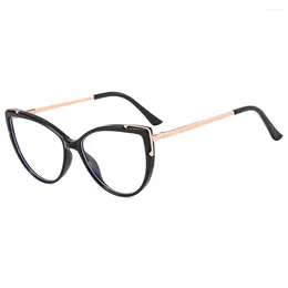 Sunglasses 2024 Fashion Trend TR90 Anti-blue Cat Eye Flat Lens Plain Frame Glasses Women Anti Blue Light Glass Clear