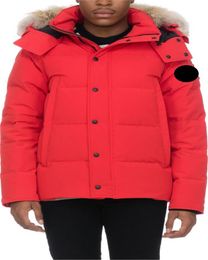 Mens Womens Jackets Designers Parkas Coats top quality Outerwear thickening Down luxury Winter Puffer Hoody heated Outerweare Hiver parkas size xs-3xl