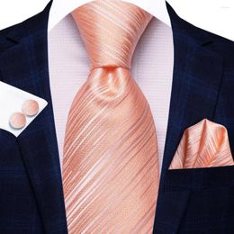 Bow Ties Striped Pink Tie For Men 2024 Gift Fashion Brand Wedding Party Necktie Handky Cufflinks Wholesale Hi-Tie Designer