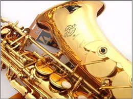 Musical instrument SAS-R54 New E flat Alto saxophone Gold Sax Professional Free Shipping