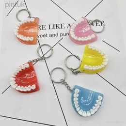 Keychains Lanyards Funny Resin Tooth Key Chain Dentist Pendant Simulation Mini Denture Keychain for Bag Hanging Ornament Car Key Rings Gifts ldd240312