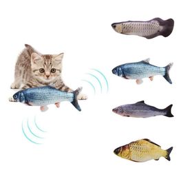 Cat Toys LXX-30CM Toy Simulation Fish Mint USB Charging Silver Arowana232p