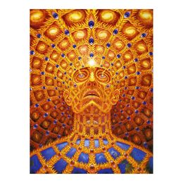 Trippy Alex Grey Painting Poster Print Home Decor Framed Or Unframed Popaper Material220K