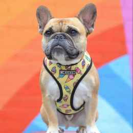 Dog Collars Leashes Dog Harness And Leashes Set Red Paw Print Printed Harnesses Breathable Mesh Padded Puppy Vest Collar For Small210H