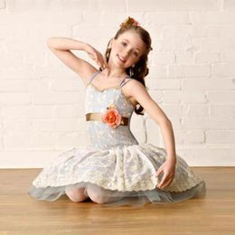 Stage Wear Ladies And Girls Lace Ballet Dance Costume Blue Strap Embroidered Mesh Skirt For Women