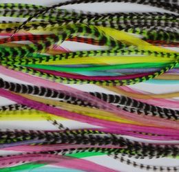 10pcs colorful feather hair extension 714inch 100 Real Grizzly Thin Rooster Feather hair extensions For Party feather hair suppl8064250