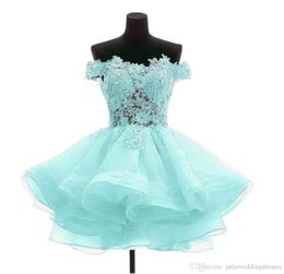 Real Po Lace Appliques Organza Short Homecoming Dresses Plus Size Beaded Graduation Cocktail Prom Party Gown QC14009974481