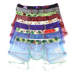 Boxer B Mesh Gay Sexy Men B Underpants Boy Boxershorts See Through Hollow Out Cool Breathable Underwear Sex Transparent Man Boxers Cueca GG