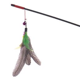 Top quality Pet cat toy Cute Design bird Feather Teaser Wand Plastic Toy for cats Colour Multi Products For pet G1116242V