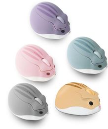 Epacket 24G Wireless Optical Mice Cute Hamster Cartoon Design Computer Mouse Ergonomic Mini 3D Gaming Office Mouse Kid039s Gif3050647