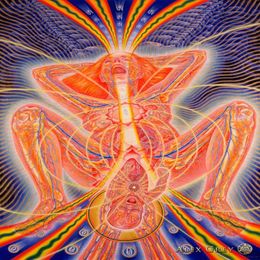 poster 32x24 17x13 Trippy Alex Grey Wall Poster Print Home Decor Wall Stickers poster Decal--0292225