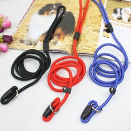 Nylon Dog Training Leash Dogs P Chain Slip Collar Walking Leads Rope S M L For Small Medium Breeds Chihuahua Teddy339T