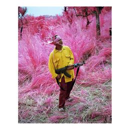 Richard Mosse Pography Birdland web Poster Painting Print Home Decor Framed Or Unframed Popaper Material308W