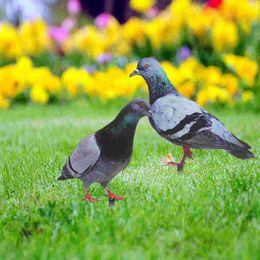 Garden Decorations 2 Pcs Pigeon Decoration Yards Decorative Sign Lawn Insert Acrylic Ornament Stakes