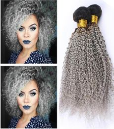 Kinky Curly Brazilian Grey Ombre Human Hair Weave Bundles 3Pcs Lot 1BSilver Grey Dark Root Ombre Virgin Human Hair Weft Extensio9771818