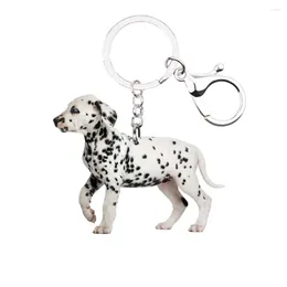 Dog Apparel Dalmatian Keychain Lobster Clasp Animal Fashion Cute Keyring Llaveros Acrylic Boyfriends Gift For Girl NOT 3D Bag Purse Drop