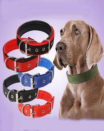 Super comfortable pet collar soft leather lined polypropylene pet collar out of the dog collars4156281