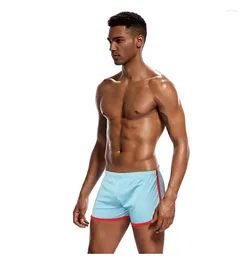 Underpants PS BRAND Boxers Elasticity Mesh Underwear Men Homme Cueca Boxer Shorts Sexy Mens Pouch Male PS301