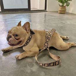 Dog Harness Collars Leashes Sets Fashion Letter Pet Cat Small Medium Large Fighting Schnauzer Bulldog Teddy Leashes305Y