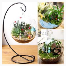 Vases Clear Flower Plant Stand Hanging Vase Terrarium Container Glass Hydroponic Home Office Wedding Decor258o
